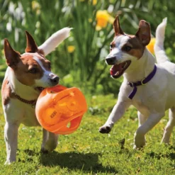 Kong Jumbler Ball Assorti 13 Kong Jumbler Ball Assorti -Exporteren Zacht Poot Winkel 0035585034089 met honden