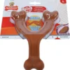 Nylabone Extreme Chew Wishbone L -Exporteren Zacht Poot Winkel 0205887