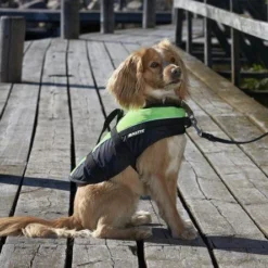 Baltic Hondenzwemvest Mascot Groen/Zwart -Exporteren Zacht Poot Winkel 0229510 met hond