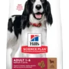 Hill's Science Plan Adult Medium Lam & Rijst 12 Kg -Exporteren Zacht Poot Winkel 052742025865 2