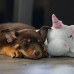 Beeztees Puppy Knuffeldoek Unicorn M 9 Beeztees Puppy Knuffeldoek Unicorn M -Exporteren Zacht Poot Winkel 0619491 sfeer3