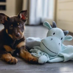 Beeztees Puppy Knuffeldoek Draak M -Exporteren Zacht Poot Winkel 0619493 sfeer2