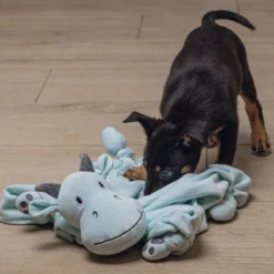 Beeztees Puppy Knuffeldoek Draak M -Exporteren Zacht Poot Winkel 0619493 sfeer3