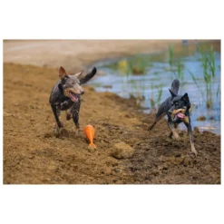 Beeztees Apportino Boei -Exporteren Zacht Poot Winkel 0625882 2