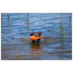 Beeztees Apportino Boei -Exporteren Zacht Poot Winkel 0625882 3