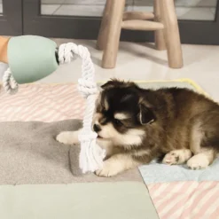 Beeztees Puppy Flostouw Pullina Groen -Exporteren Zacht Poot Winkel 0641270 sfeer1