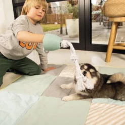 Beeztees Puppy Flostouw Pullina Groen -Exporteren Zacht Poot Winkel 0641270 sfeer2