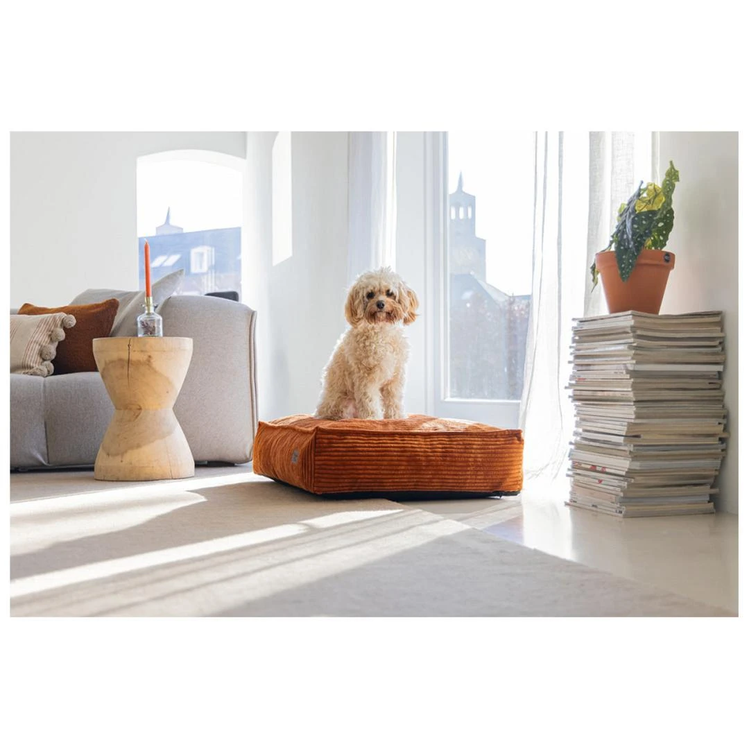 Designed By Lotte Hondenkussen Ribbed Terracotta 5 Designed By Lotte Hondenkussen Ribbed Terracotta - Afbeelding 3