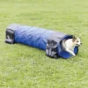 TRIXIE Dog Activity Agility Mini Tunnel