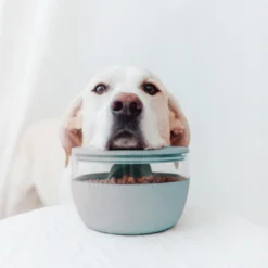 District 70 Treat Jar Ice Blue -Exporteren Zacht Poot Winkel 2J8A7537 1