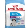Royal Canin Hondenvoer Giant Puppy 15 Kg -Exporteren Zacht Poot Winkel 3182550707046