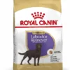 Royal Canin Hondenvoer Labrador Sterilised Adult 3 Kg -Exporteren Zacht Poot Winkel 3182550787574