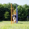 TRIXIE Dog Activity Agility Slalom 1 TRIXIE Dog Activity Agility Slalom -Exporteren Zacht Poot Winkel 3206 H 3