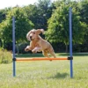 TRIXIE Dog Activity Agility Horde -Exporteren Zacht Poot Winkel 3207 1
