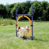 TRIXIE Dog Activity Agility Ring -Exporteren Zacht Poot Winkel 3208 H 2
