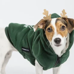 51 Degrees North Hondentrui Oh My Deer -Exporteren Zacht Poot Winkel 51DN Christmas Sweater Green Ohmydeer 28cm 51SCHSW13 picture1 a bunchofdogs