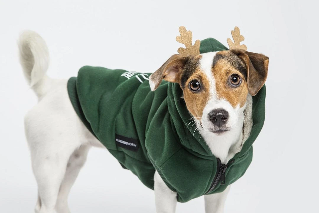 51 Degrees North Hondentrui Oh My Deer - Afbeelding 3