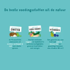 Edgard & Cooper Adult Plantaardig Wortel 2,5 Kg -Exporteren Zacht Poot Winkel 5407007149179 4