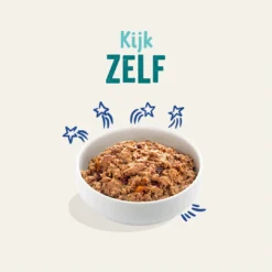 Edgard & Cooper Hondenvoer Adult Zalm En Forel 400 Gr -Exporteren Zacht Poot Winkel 5425039485362 2