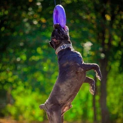 Ferplast Puller Maxi 9 Ferplast Puller Maxi -Exporteren Zacht Poot Winkel 8010690183046 9.9