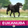 Eukanuba Hondenvoer Thriving Mature Large Breed 12 Kg