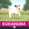 Eukanuba Hondenvoer Caring Senior Small Breed 12 Kg -Exporteren Zacht Poot Winkel 8710255145853