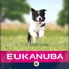 Eukanuba Hondenvoer Puppy Small/Medium Lamb & Rice 12 Kg -Exporteren Zacht Poot Winkel 8710255168777 0