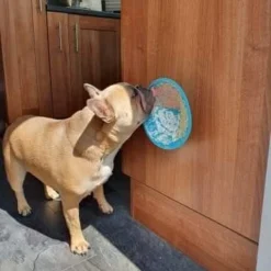 Lickimat Splash Turquoise 19 Cm -Exporteren Zacht Poot Winkel Lickimat 3