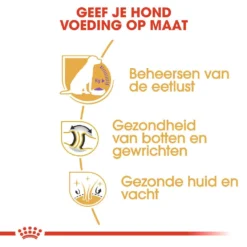 Royal Canin Hondenvoer Labrador Sterilised Adult 3 Kg -Exporteren Zacht Poot Winkel RCKLHY O