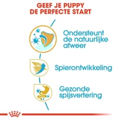 Royal Canin Hondenvoer Boxer Puppy 12 Kg -Exporteren Zacht Poot Winkel royal canin boxer junior pup hond boxer hero usp
