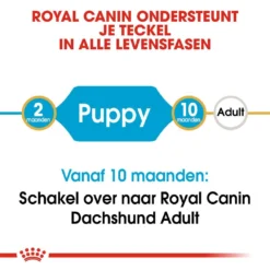 Royal Canin Hondenvoer Dachshund Puppy 1,5 Kg -Exporteren Zacht Poot Winkel royal canin dachshund junior pup hond teckel hero image 9