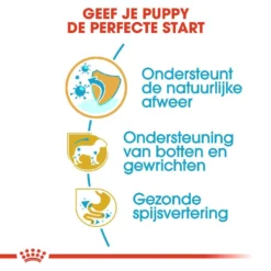 Royal Canin Hondenvoer Dachshund Puppy 1,5 Kg -Exporteren Zacht Poot Winkel royal canin dachshund junior pup hond teckel hero usp