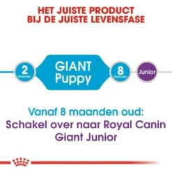 Royal Canin Hondenvoer Giant Puppy 15 Kg 9 Royal Canin Hondenvoer Giant Puppy 15 Kg -Exporteren Zacht Poot Winkel royal canin giant puppy pup hond zeer grote hondenrassen hero image 8