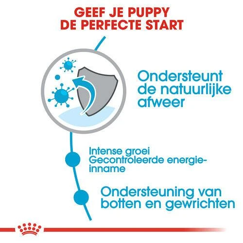 Royal Canin Hondenvoer Giant Puppy 15 Kg 5 Royal Canin Hondenvoer Giant Puppy 15 Kg - Afbeelding 3