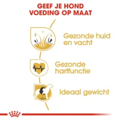 Royal Canin Hondenvoer Golden Retriever Adult 3 Kg -Exporteren Zacht Poot Winkel royal canin golden retriever adult volwassen hond golden retriever vanaf 15 maanden hero usp