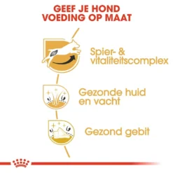 Royal Canin Hondenvoer Jack Russell Adult 3 Kg -Exporteren Zacht Poot Winkel royal canin jack russell terrier adult volwassen hond jack russell terrier vanaf 10 maanden hero usp