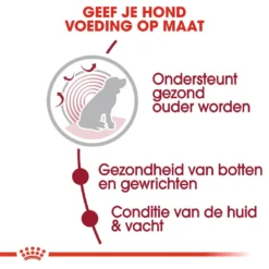 Royal Canin Hondenvoer Medium Ageing 10+ 15 Kg -Exporteren Zacht Poot Winkel royal canin medium ageing 10plus senior hond oudere hond vanaf 10 jaar hero usp