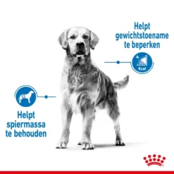 Royal Canin Hondenvoer Light Weight Care Medium 12 Kg -Exporteren Zacht Poot Winkel royal canin medium light weight care volwassen hond gewicht middelgrote hondenrassen hero image 8