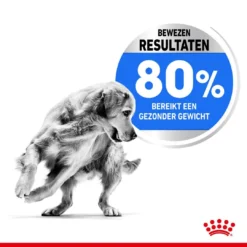 Royal Canin Hondenvoer Light Weight Care Medium 12 Kg -Exporteren Zacht Poot Winkel royal canin medium light weight care volwassen hond gewicht middelgrote hondenrassen hero usp