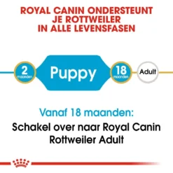 Royal Canin Hondenvoer Rottweiler Puppy 12 Kg -Exporteren Zacht Poot Winkel royal canin rottweiler junior pup hond rottweiler hero image 9