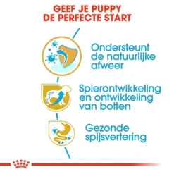 Royal Canin Hondenvoer Rottweiler Puppy 12 Kg -Exporteren Zacht Poot Winkel royal canin rottweiler junior pup hond rottweiler hero usp