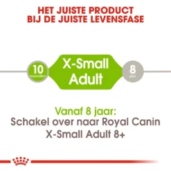 Royal Canin Hondenvoer X-Small Adult 3 Kg -Exporteren Zacht Poot Winkel royal canin x small adult volwassen hond zeer kleine hondenrassen hero image 9