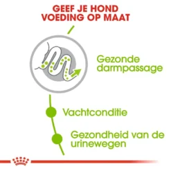 Royal Canin Hondenvoer X-Small Adult 3 Kg -Exporteren Zacht Poot Winkel royal canin x small adult volwassen hond zeer kleine hondenrassen hero usp