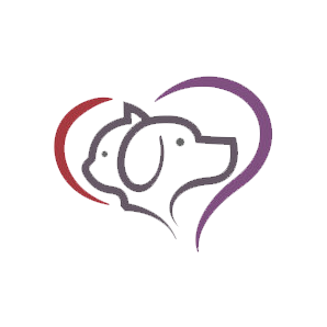 Exporteren Zacht Poot Winkel